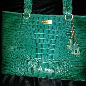 Brahmin Medium Asher Tote in Bayleaf